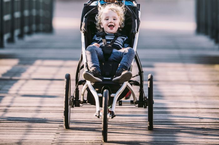 Náhľad produktu - Thule Glide 2 Jet Black 2022 + vanička