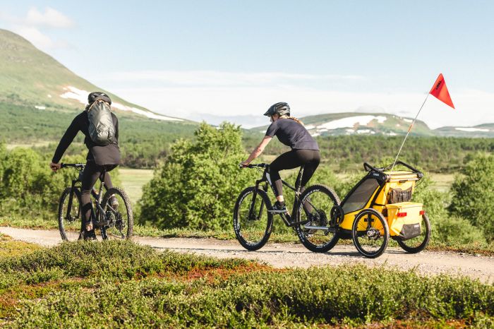 Náhľad produktu - Thule Chariot Sport 1 Spectra Yellow 2022