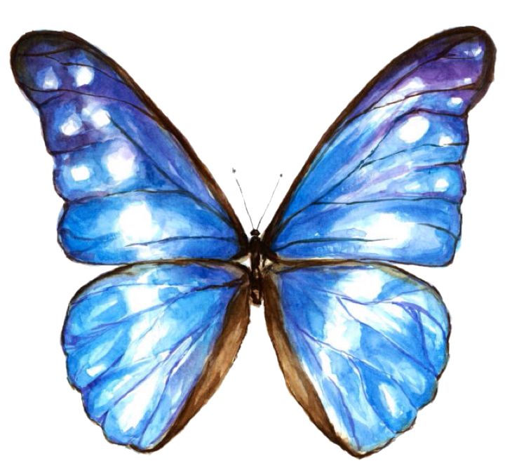 Náhľad produktu -  Thule Chariot Sport 2 - LED lamp prism 55386