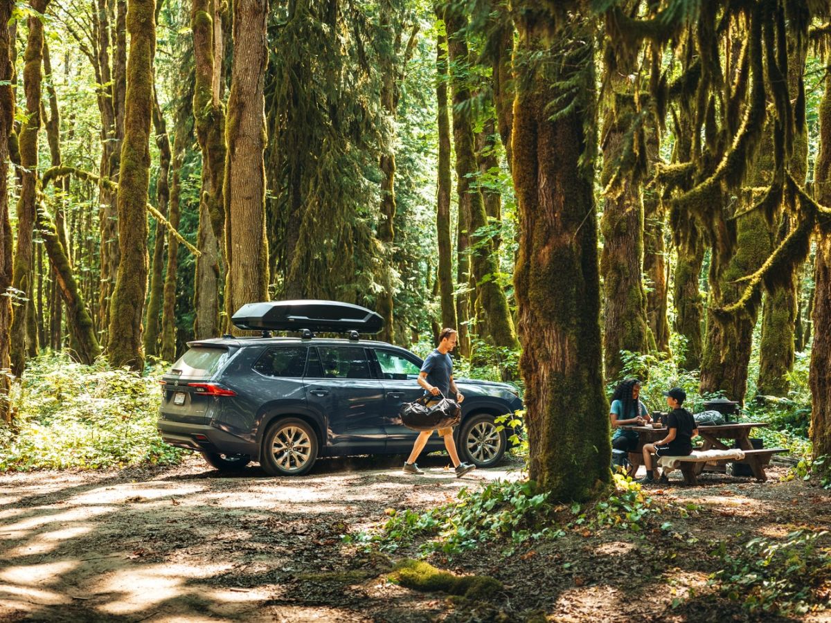 Náhľad produktu - Strešný box Thule Force 3M